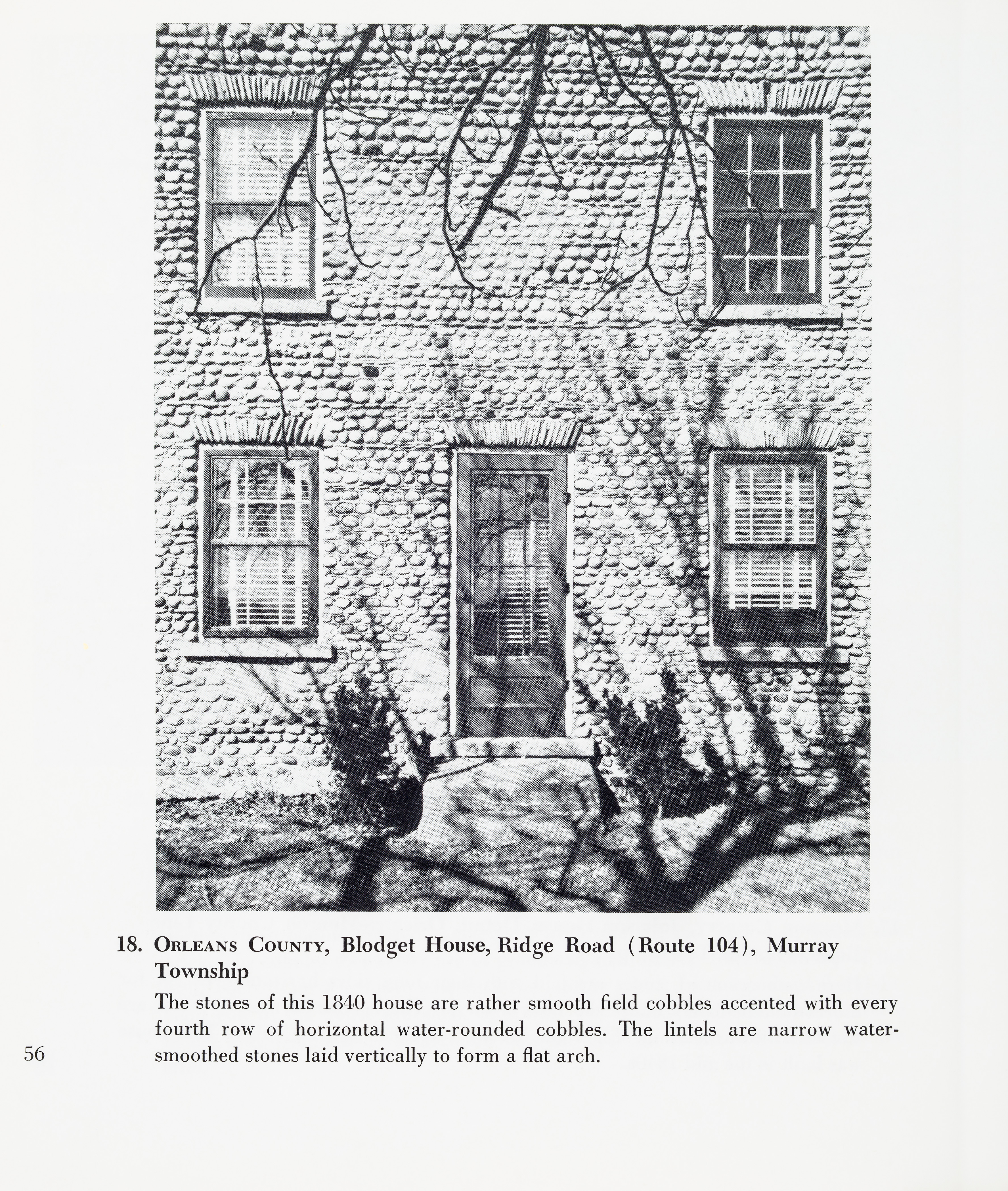 CLNYS Page 56 200315